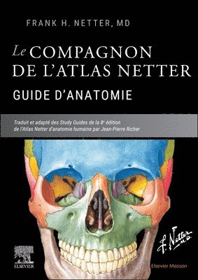 Le compagnon de l'atlas Netter - Guide d'anatomie (inbunden)