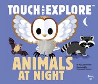 Touch and Explore: Animals at Night (kartonnage)