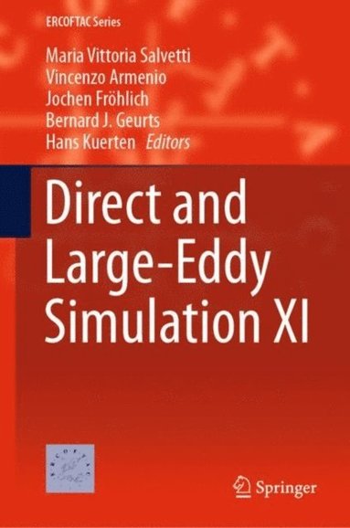 Direct and Large-Eddy Simulation XI (e-bok)