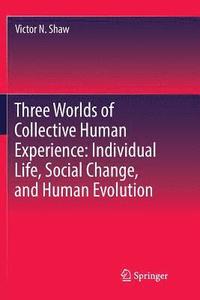 Three Worlds of Collective Human Experience: Individual Life, Social Change, and Human Evolution (hftad)