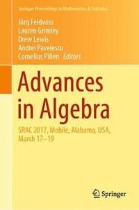 Advances in Algebra (inbunden)