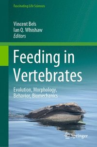 Feeding in Vertebrates (inbunden)