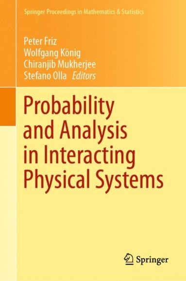 Probability and Analysis in Interacting Physical Systems (inbunden)