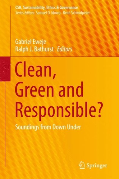 Clean, Green and Responsible? (e-bok)