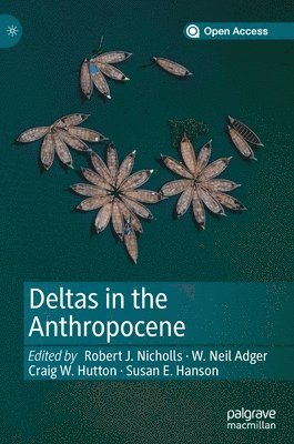 Deltas in the Anthropocene (inbunden)