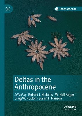 Deltas in the Anthropocene (inbunden)