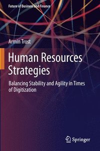 Human Resources Strategies (häftad)
