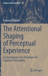 The Attentional Shaping of Perceptual Experience (inbunden)