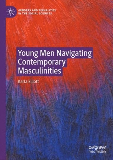 Young Men Navigating Contemporary Masculinities (e-bok)