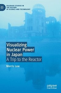Visualizing Nuclear Power in Japan (inbunden)
