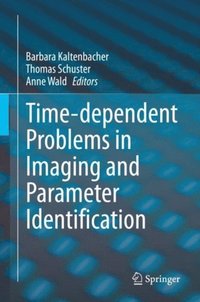 Time-dependent Problems in Imaging and Parameter Identification (e-bok)