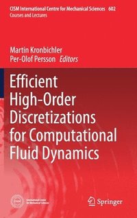 Efficient High-Order Discretizations for Computational Fluid Dynamics (inbunden)