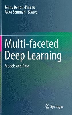 Multi-faceted Deep Learning (hftad)