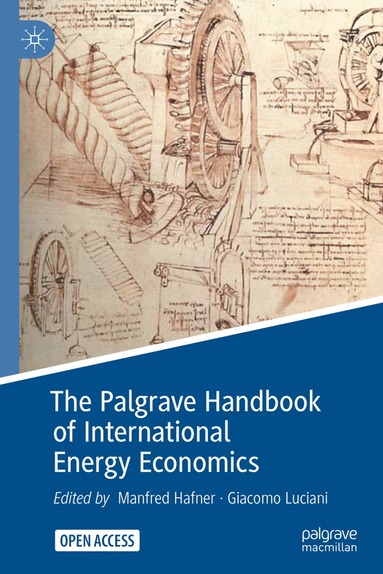 Palgrave Handbook of International Energy Economics (hftad)