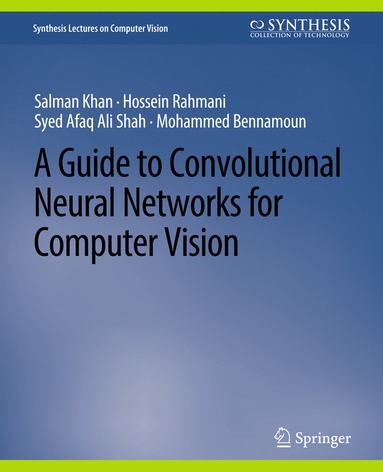 Guide to Convolutional Neural Networks for Computer Vision (hftad)