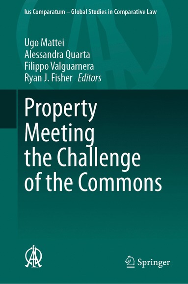 Property Meeting the Challenge of the Commons (hftad)