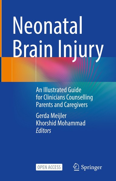 Neonatal Brain Injury (inbunden)