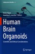 Human Brain Organoids