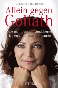 Allein gegen Goliath (e-bok)