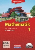 Mathematik Sekundarstufe II - Brandenburg - Neubearbeitung 2012 / Band 1 - Schlerbuch mit CD-ROM (hftad)
