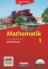 Mathematik Sekundarstufe II - Brandenburg - Neubearbeitung 2012 / Band 1 - Schlerbuch mit CD-ROM