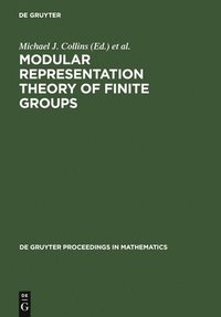 Modular Representation Theory of Finite Groups (inbunden)