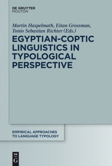 Egyptian-Coptic Linguistics in Typological Perspective (e-bok)