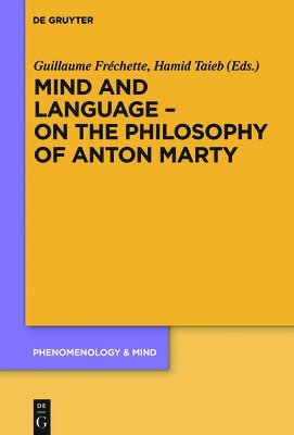 Mind and Language - On the Philosophy of Anton Marty (häftad)