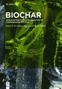 BioChar (inbunden)