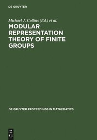 Modular Representation Theory of Finite Groups (e-bok)