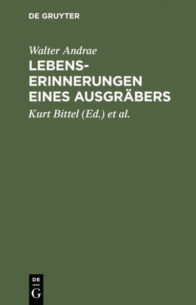 Lebenserinnerungen eines Ausgrÿbers (e-bok)