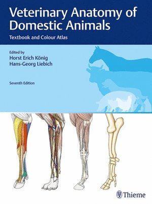 Veterinary Anatomy of Domestic Animals (häftad)