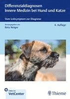 Differenzialdiagnosen Innere Medizin bei Hund und Katze (häftad)