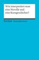 Wie interpretiert man eine Novelle und eine Kurzgeschichte? (häftad)