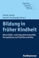 Bildung in Fruher Kindheit: Diversitats- Und Migrationssensible Perspektiven Auf Familie Und Kita (h�ftad)