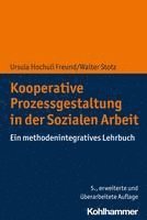 Kooperative Prozessgestaltung in Der Sozialen Arbeit: Ein Methodenintegratives Lehrbuch (häftad)