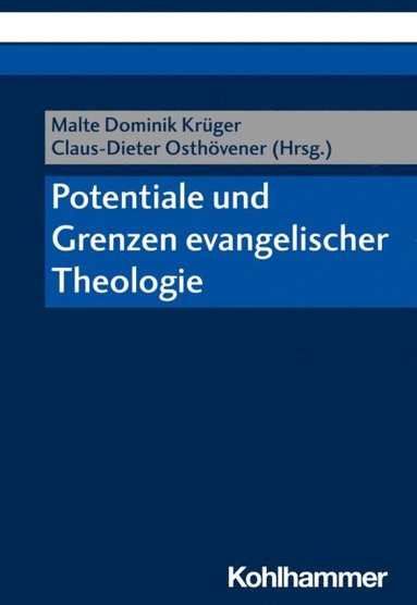 Potentiale und Grenzen evangelischer Theologie (e-bok)