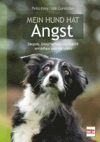 Mein Hund hat Angst (h�ftad)