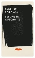 Bei uns in Auschwitz (häftad)