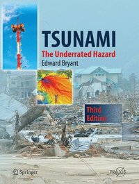 Tsunami (inbunden)