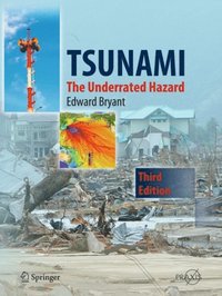 Tsunami (e-bok)