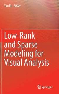 Low-Rank and Sparse Modeling for Visual Analysis (inbunden)