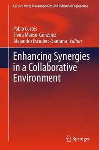Enhancing Synergies in a Collaborative Environment (inbunden)
