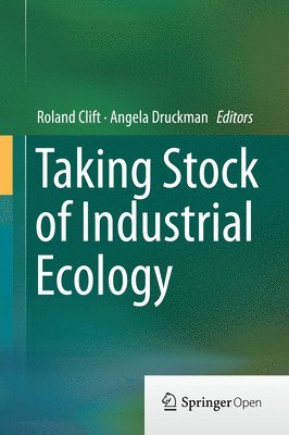 Taking Stock of Industrial Ecology (inbunden)