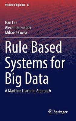 Rule Based Systems for Big Data (häftad)