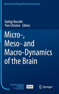Micro-, Meso- and Macro-Dynamics of the Brain (inbunden)