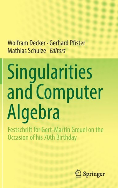 Singularities and Computer Algebra (inbunden)