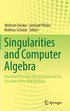 Singularities and Computer Algebra