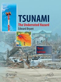 Tsunami (häftad)