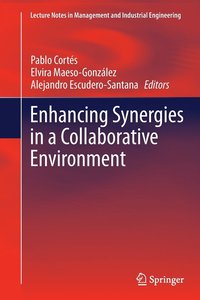 Enhancing Synergies in a Collaborative Environment (häftad)